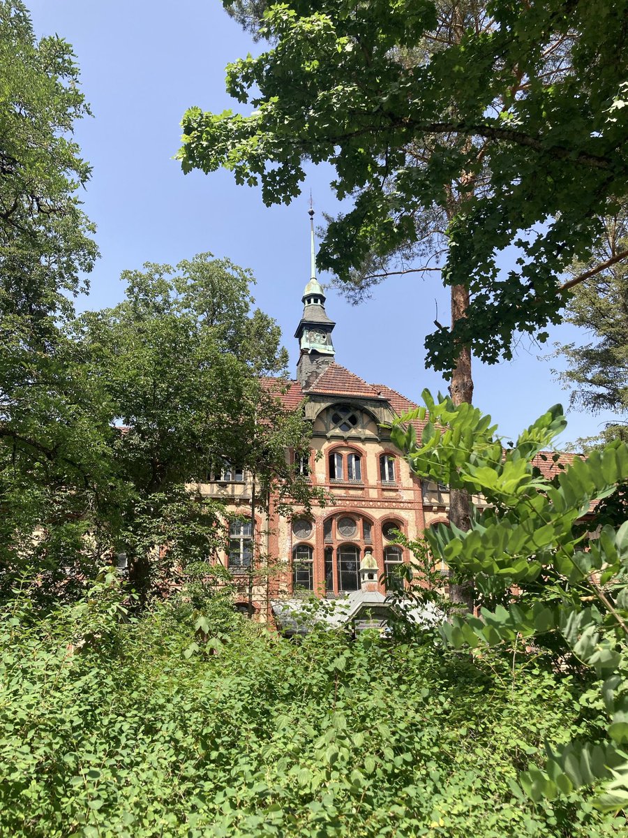 QueerGrün Brandenburg, die LAG Bildung und Gäste heute mit dem  Workshop "Inklusive Schule - Alles divers, oder was?" auf der Grünen Sommerkonferenz. 
Eine inklusive Schule ist eine Schule für Alle.