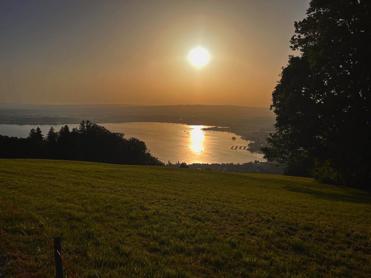 idomyowntricks's tweet photo. Getting in my Golden Hour ride tonight. Amazing Zugersee sunset tonight #switzerland🇨🇭 #mtb #scottmtb #zugerberg https://t.co/fVQEWzFt4w