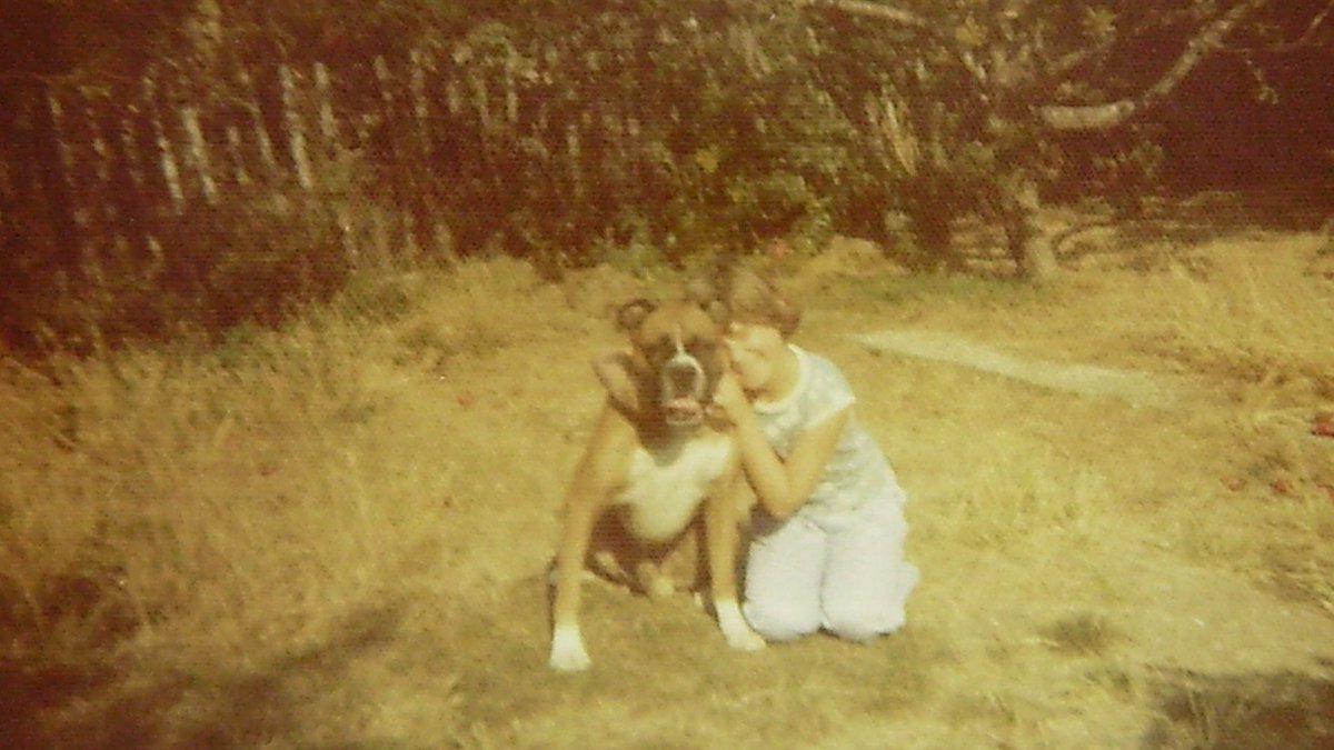 Nesquik1962's tweet photo. Channel 5 showing #HeatwaveSummerof76, I remember it well and the stand pipes to collect your #rationed #water. Found this old photo of my younger sister and out family dog. The state of that grass!! https://t.co/PrgVgHGeKz