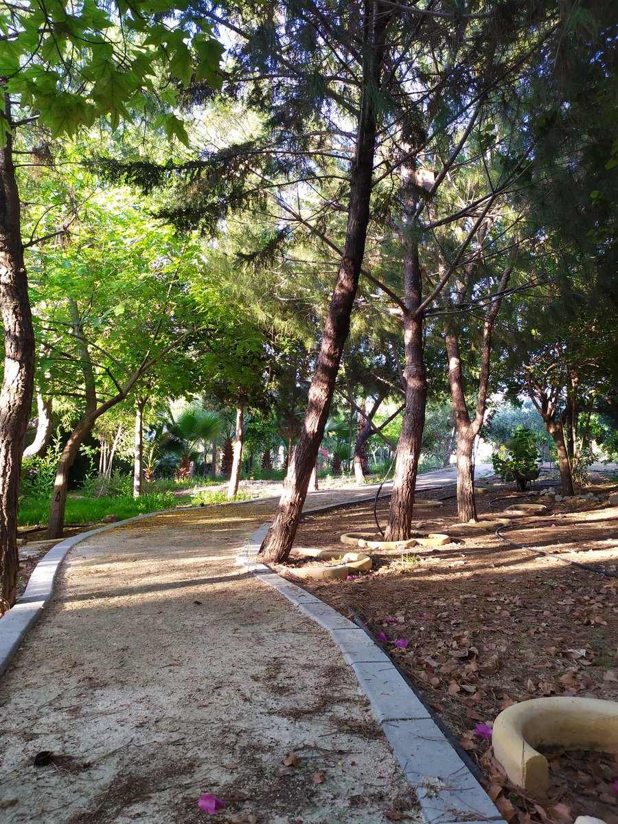 aria_con's tweet photo. Ένας παραδεισούλης κάπου στην Λακατάμια🌳🌸🌷
Ήσυχη πρωτοβουλία της @THEOCHAROUSE , να τα λέμε κ αυτά
🙏🙏 https://t.co/p22MDnnePl