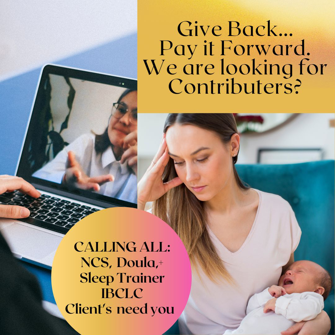 Are you willing to give back to your community?  We are creating a Give Back website for Postpartum clients.  If you are interested in joining (no cost to you) and are a PP professional contact me for me information.  newbornguide@gmail.com