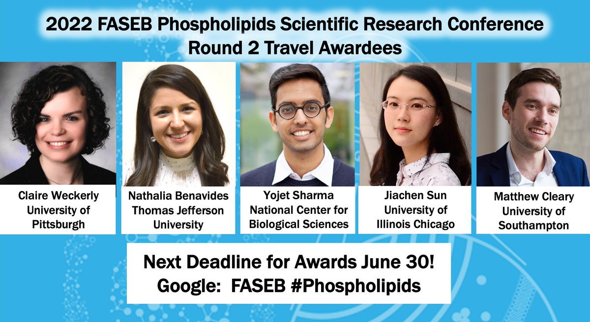 The Blind Lab tweet media