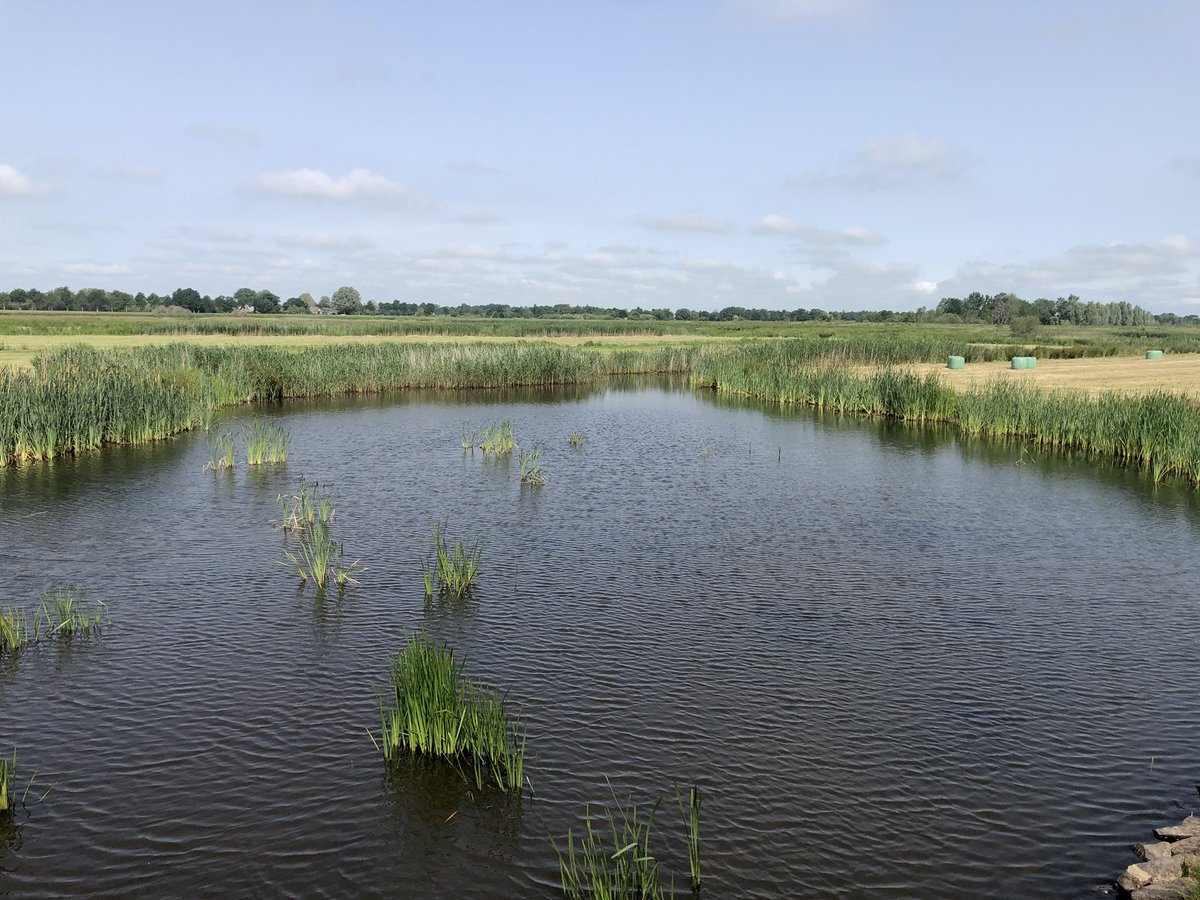 Vandaag op uitnodiging van @WaterNatuur_NZV samen met <a href="/D66_WK/">D66 Westerkwartier</a> <a href="/GroenlinksWK/">GroenLinks Westerkwartier</a> @GLprovGroningen 
Een prachtige en leerzame excursie gehad in <a href="/GemWkwartier/">Gemeente Westerkwartier</a> rondom de waterbergingen <a href="/provgroningen/">Provincie Groningen</a> <a href="/GR_Landschap/">Het Groninger Landschap</a> fractie @WaterNatuur_NZV bedankt voor de organisatie!