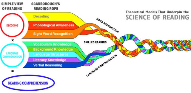Dr. Rob Jackson tweet media