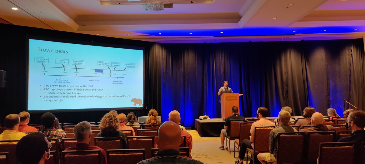 n8_upham's tweet photo. Detailed overview of the timeline of coastal BC black and brown bear distributions over the last glaciation by
@flavioascoelho -- isotopes and paleo-mtgenomes have many stories to tell! 
@ #asmtucson https://t.co/dIdENN6IN6