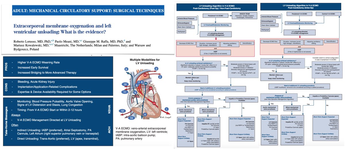 VA #ECMO &amp; LV unloading: what's the evidence?? Noninvasive approaches should be immediately considered for all pts + aggressive catheter/device-based modalities should be considered early after #ECLS initiation in a pt-tailored way. 
#FOAMcc #FOAMecmo
📎 bit.ly/3balXuG