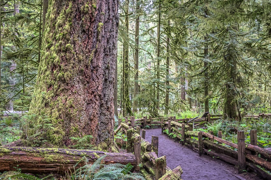 hikebiketravel's tweet photo. Driving across Canada this summer? 40 places you shouldn't miss https://t.co/E3kQdtkQZa
#explorecanada #roadtrips https://t.co/xRdWjIUAsd