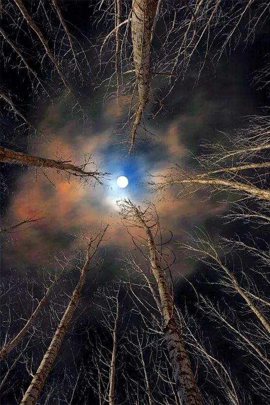 Alwesam04's tweet image. يقول اللّه تعالى :
( وإن يمْسَسك اللّه بِضُرٍّ فلا كاشف له إلّا هو وإنْ يُرِدْك بِخير فهو على كلّ شيء قدير )