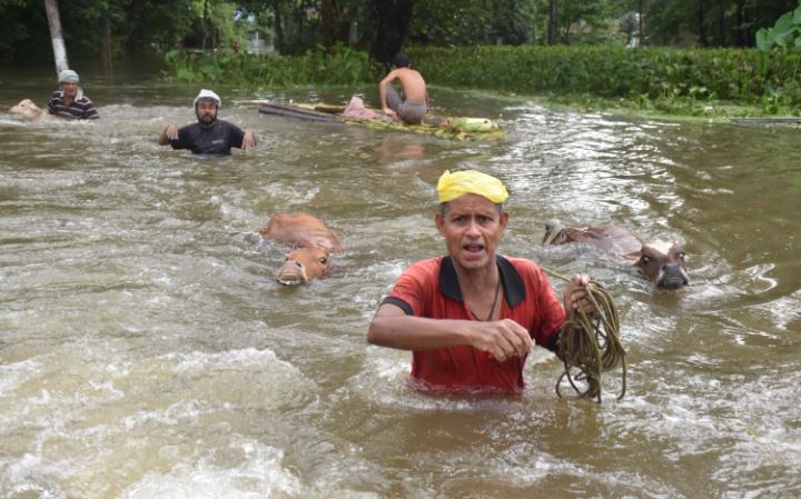 #AssamFloods Twitter