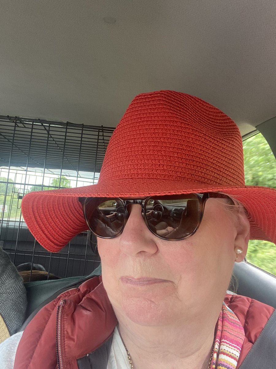 DianaCameron70's tweet photo. Local town fair today. Fabulousness of hats, horses, chickens, and cheesy doings … #AxeValley https://t.co/1oSSICbY5c