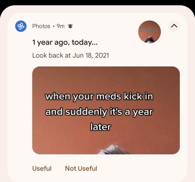 w e l p 💬 https://t.co/RY0S4GV5G3