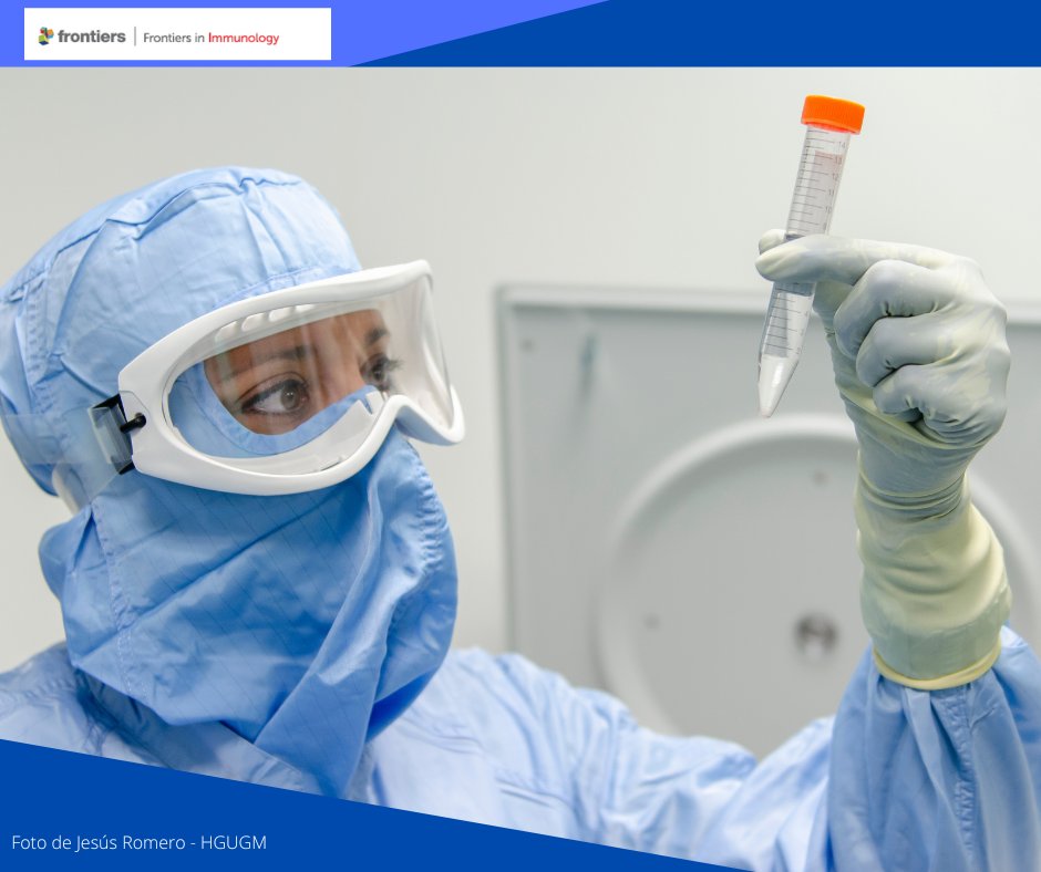 El trabajo colaborativo de Tercel proporciona una guía para una mejor y homogénea fabricación de productos celulares terapéuticos, con especial referencia a las MSC. red-tercel.com/NOTICIA.asp?id…