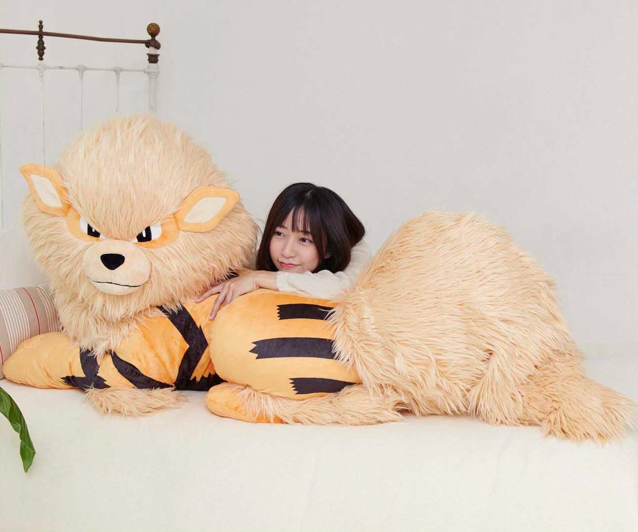 Peluche arcanine sale
