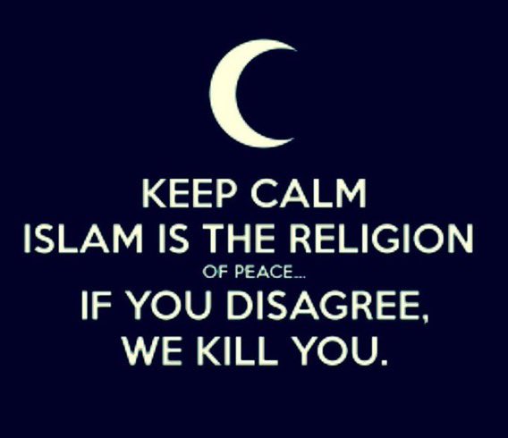 Cryptoslayer___'s tweet image. 