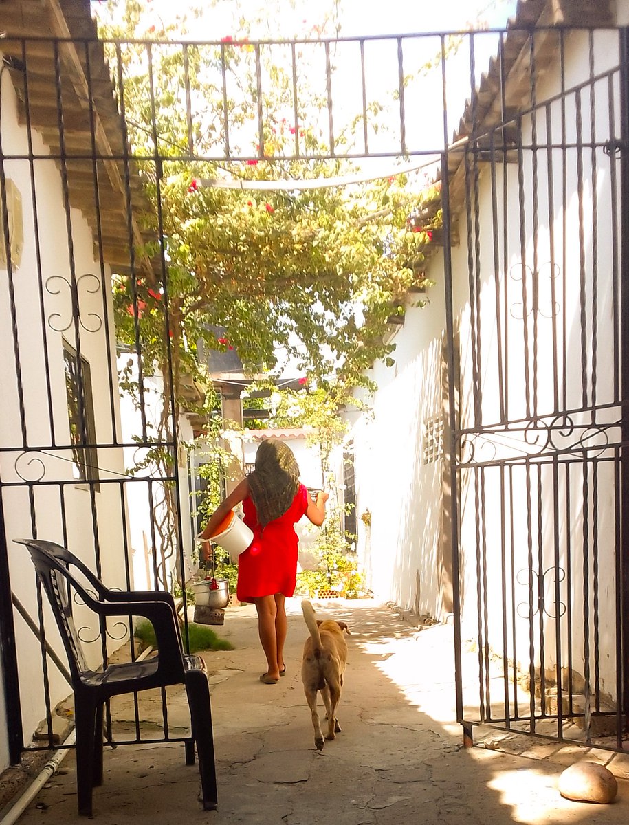 juliruetnica's tweet photo. La niña Jaipai vende tripitas de chivo. Todas las mañanas va con su mamá al mercado y compra las vísceras caprinas para en la tarde salir a vender jurrichi (friche) 
Ya sale  a enfrentar al mundo en compañía de su perro Rocky. Las vende súper económicas desde mil ($1000) pesos. https://t.co/0hc2UMrtQ7