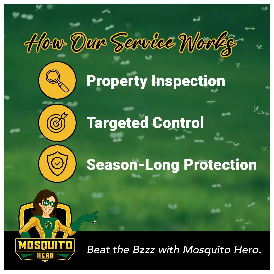 MosquitoHeroPA's tweet photo. Interested in how our service works? It's as easy as 1, 2, 3. Request your free quote today at https://t.co/I1ruNWJhmU. #mosquitoprevention #MosquitoHero #mosquitocontrol #backyardliving #summer #buckscounty #montgomerycounty https://t.co/jGOibQ87zK