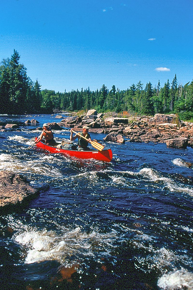 OntarioParksNE's tweet photo. The Spanish River gets the spotlight in this post, as we near the end of #NationalPaddlingWeek !

Read more about the Spanish, a "life-changing" paddling route, with lots of whitewater, tall pine forests and a train journey too!

https://t.co/20CDzgkw0t       #SpanishRiverPP https://t.co/r7ZoFWaRGT