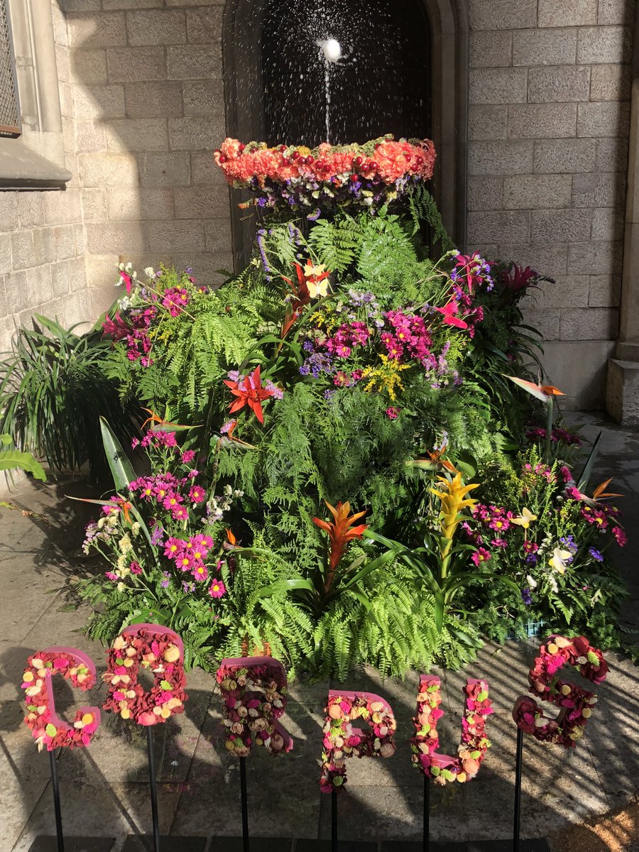 Drac Poblenou tweet media