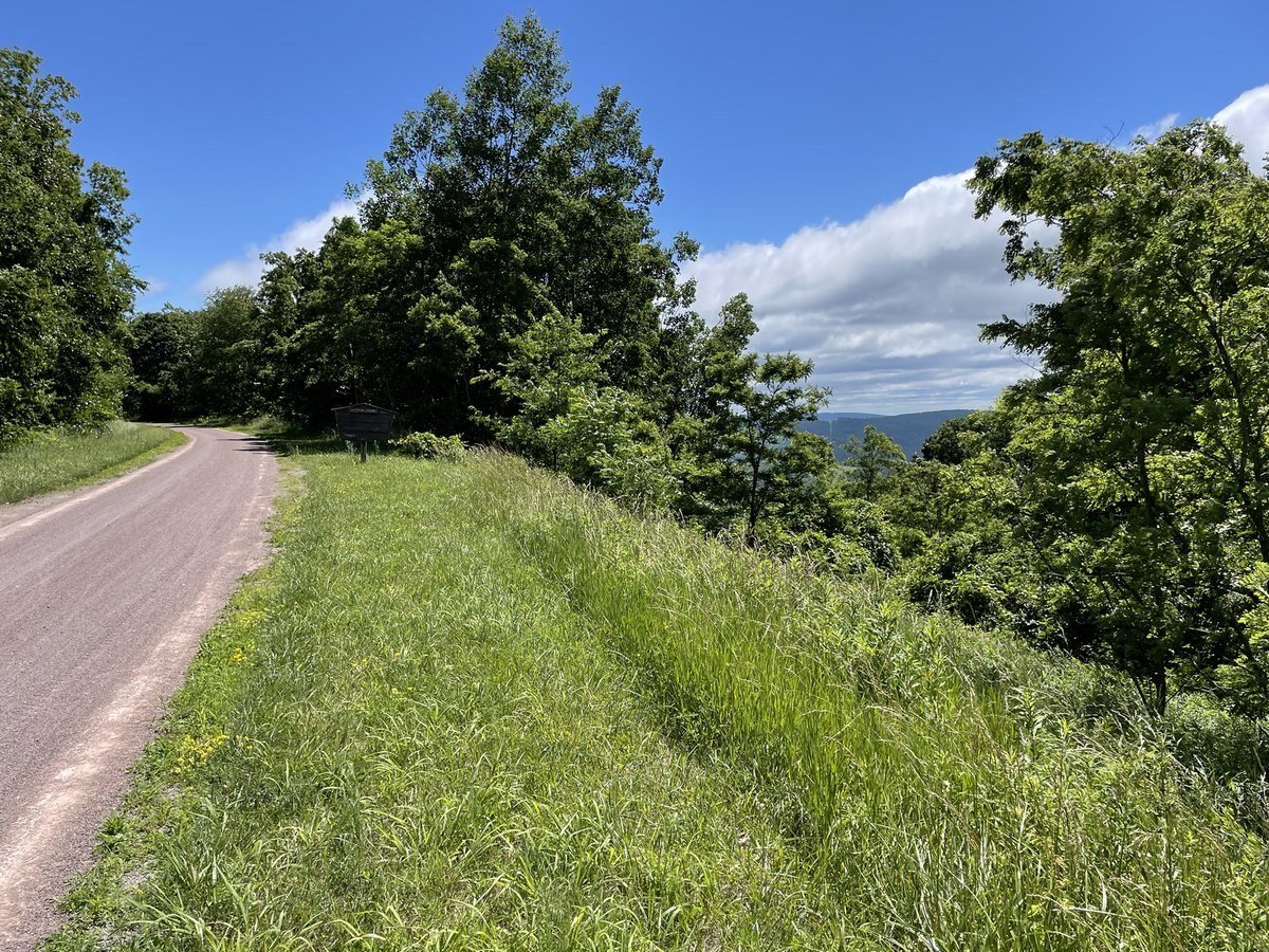 Chuck Danner tweet media