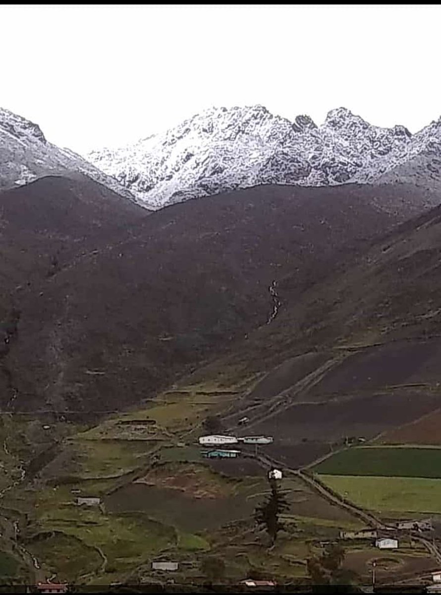 castillomariale's tweet photo. #18Junio así se nos puso #Mérida hoy.... Siiii así de espectacular es la nevada! Llegando a Llano del Hato cerca del observatorio @centro_cida 
#Venezuela #Mérida #nevada #Frío https://t.co/pvcKifJUnR