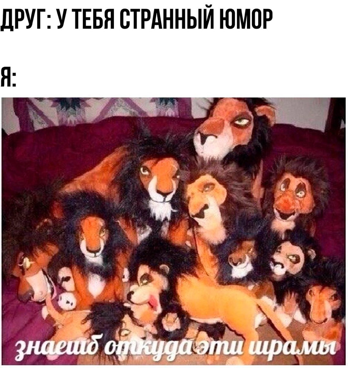 RussianMemesLtd's tweet image. friend: you have a weird sense of humor

me: 
Wanna know how I got these scars?