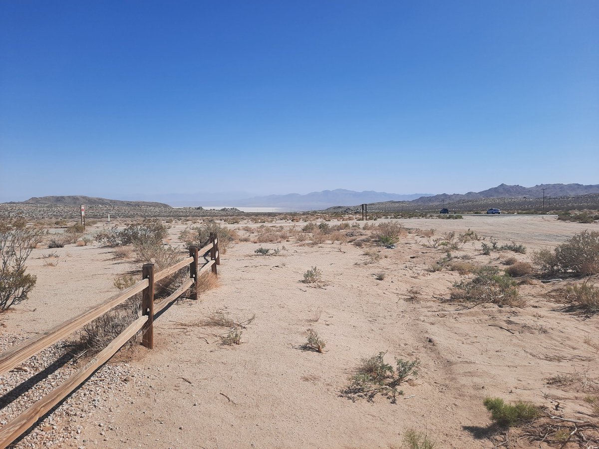 jeeves524's tweet image. The hot, harsh and diverse terrain of the Mojave Desert, California.