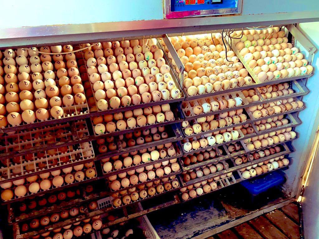 2019👉🏿2020👉🏿2021👉🏿2022.  Lord I thank you 🙏🏿❤️