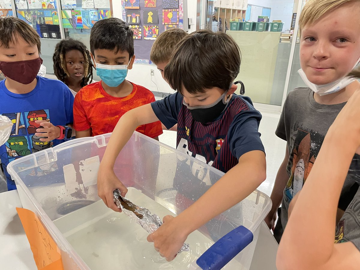 Ms. Romero's Class tweet media