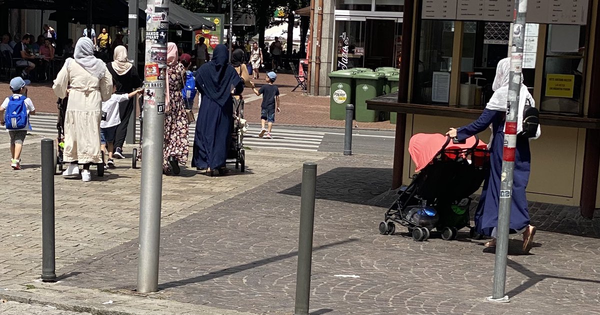 SchwabeMert tweet media