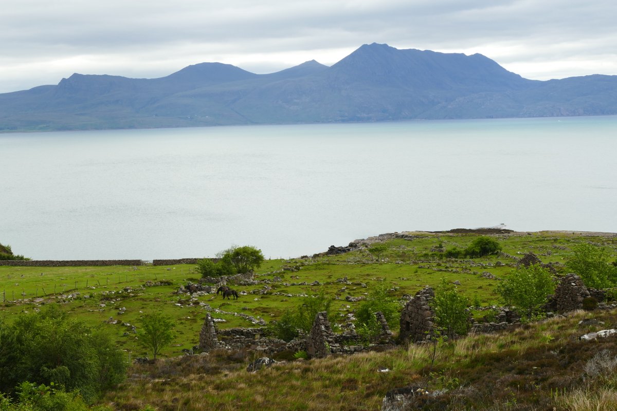 colliefullife's tweet photo. #ExmoorPonies on #Scoraig. Not something I was expecting to see so was a nice surprise as these are one of my favourite horse breeds and I loved seeing them on Exmoor. As it turns out there is a herd on Scoraig owned by someone who is studying their genetics π
#VisitScotland https://t.co/8D3HZrZ4lP