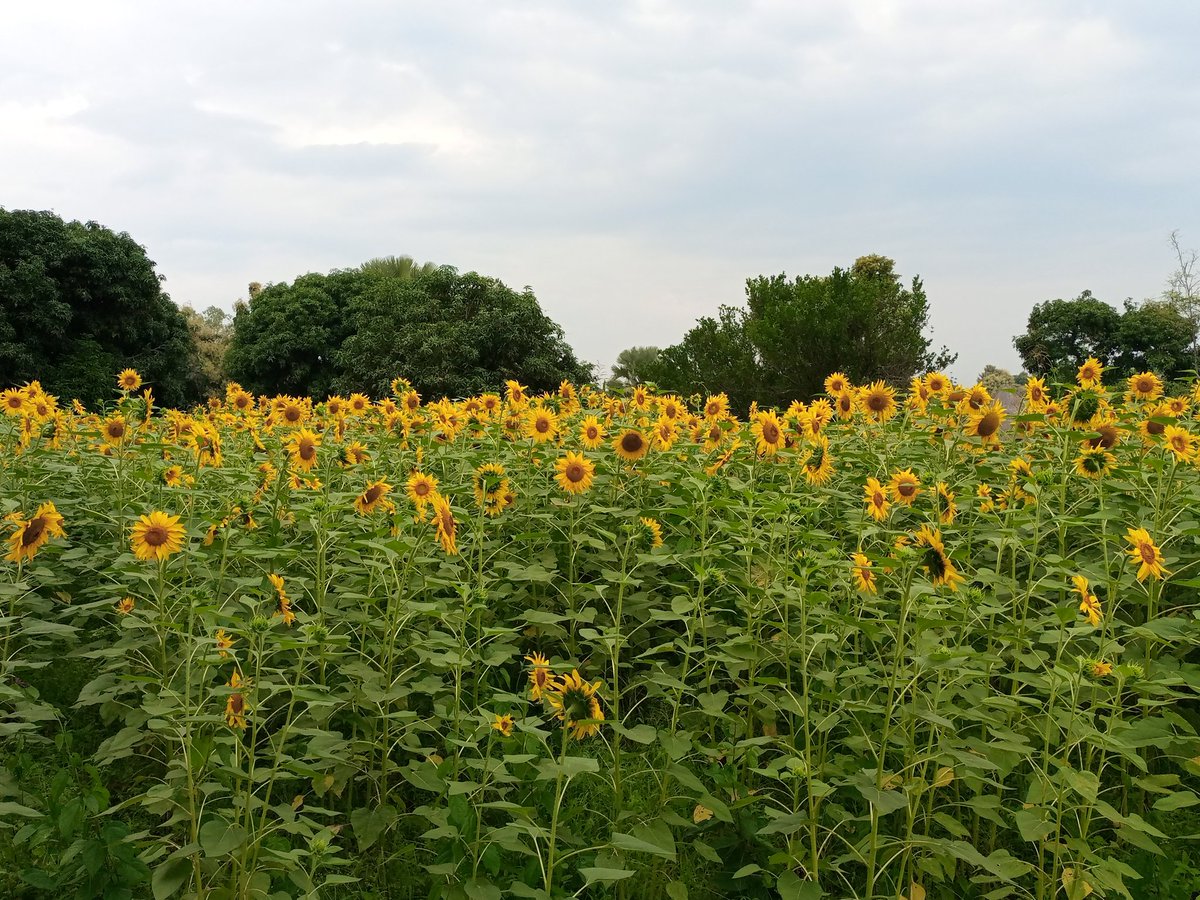 ShadowlinB's tweet image. When was the Last Time you asks for a beautiful Picture..