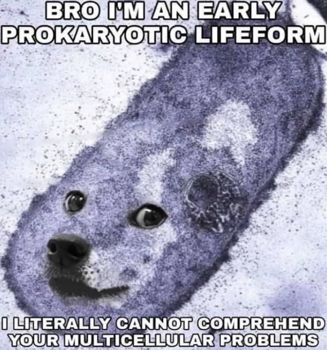 Heme Review (@hemereview) on Twitter photo 