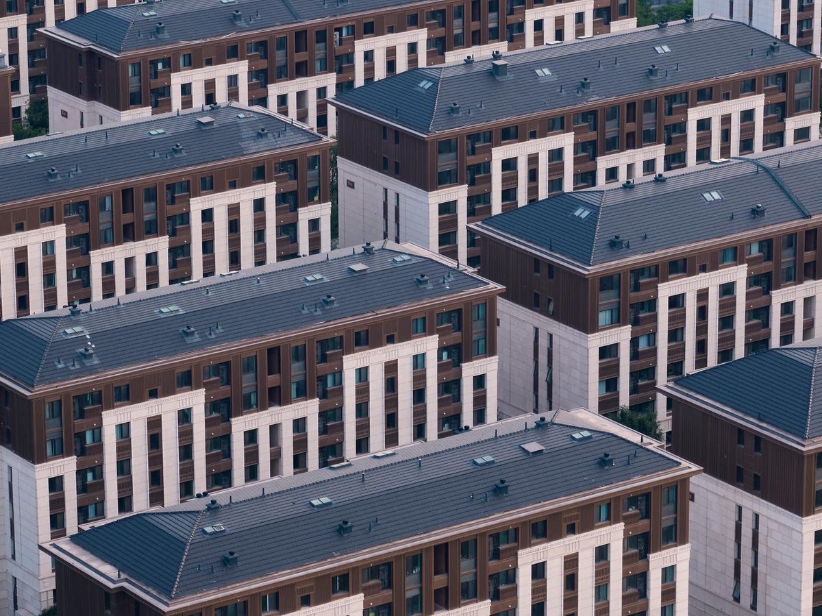 DEmon_P.E. tweet media