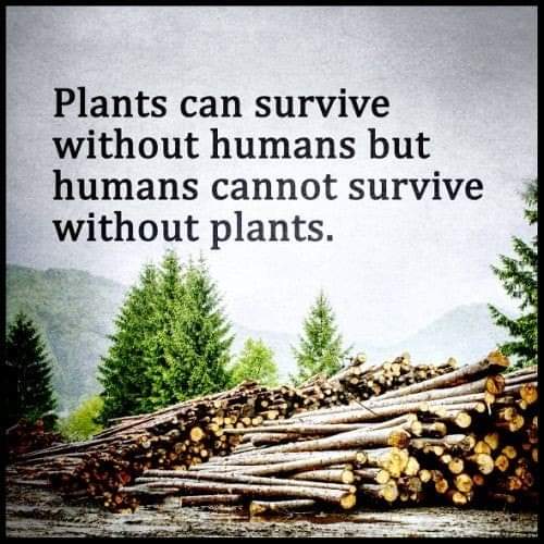 madhan (@madhandondapati) on Twitter photo 