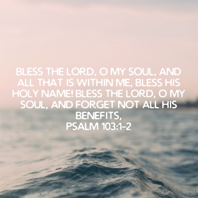 lisamariernc's tweet photo. Remembering what is important as I battle Covid. Thankful for a mighty God who on THIS day I choose to bless.  https://t.co/WFa35FOakF https://t.co/yaGK4N646i