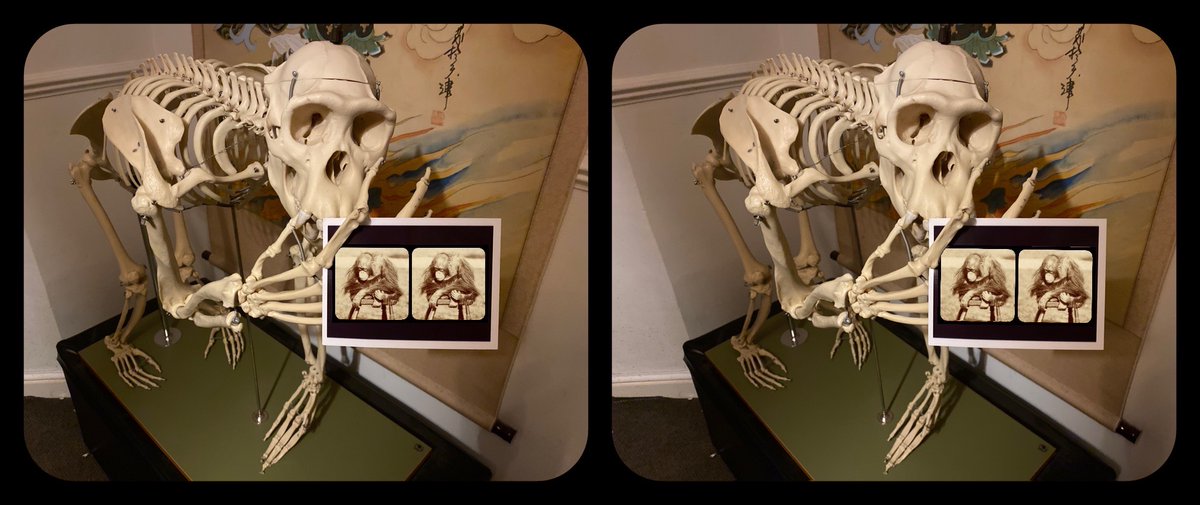 scowlingmonkey's tweet photo. Here are some of my more experimental creations, when I figured out you could actually place a #stereoview within a #stereoview!

All of these are cha-chas initially, with various styles of #stereocard incorporated.

@londonstereo
@DrBrianMay 
@brianmaycom 
#StereoscopyDay https://t.co/zq4WihAWyH