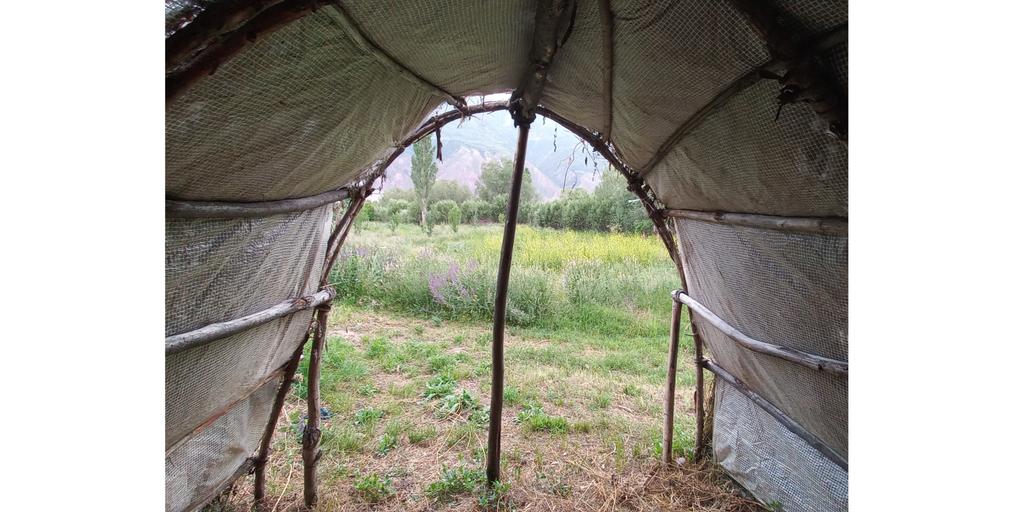 Talabsho9090's tweet photo. Summer houseπ / evening of our village /
#Tajikistan #Village #house #NaturePhotography #travelphotography #TopClassDay1 https://t.co/oXHeUV4Ke4