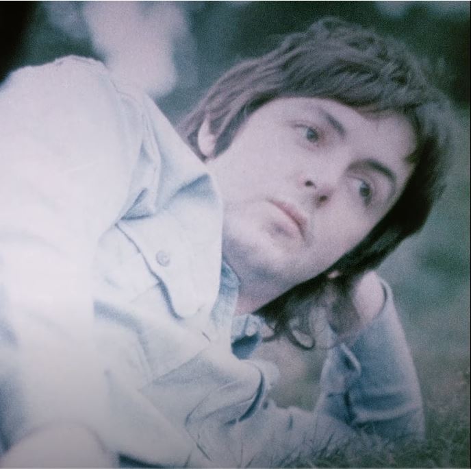 maurizio tweet media