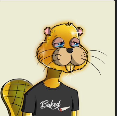 MissMetaverse.eth tweet media