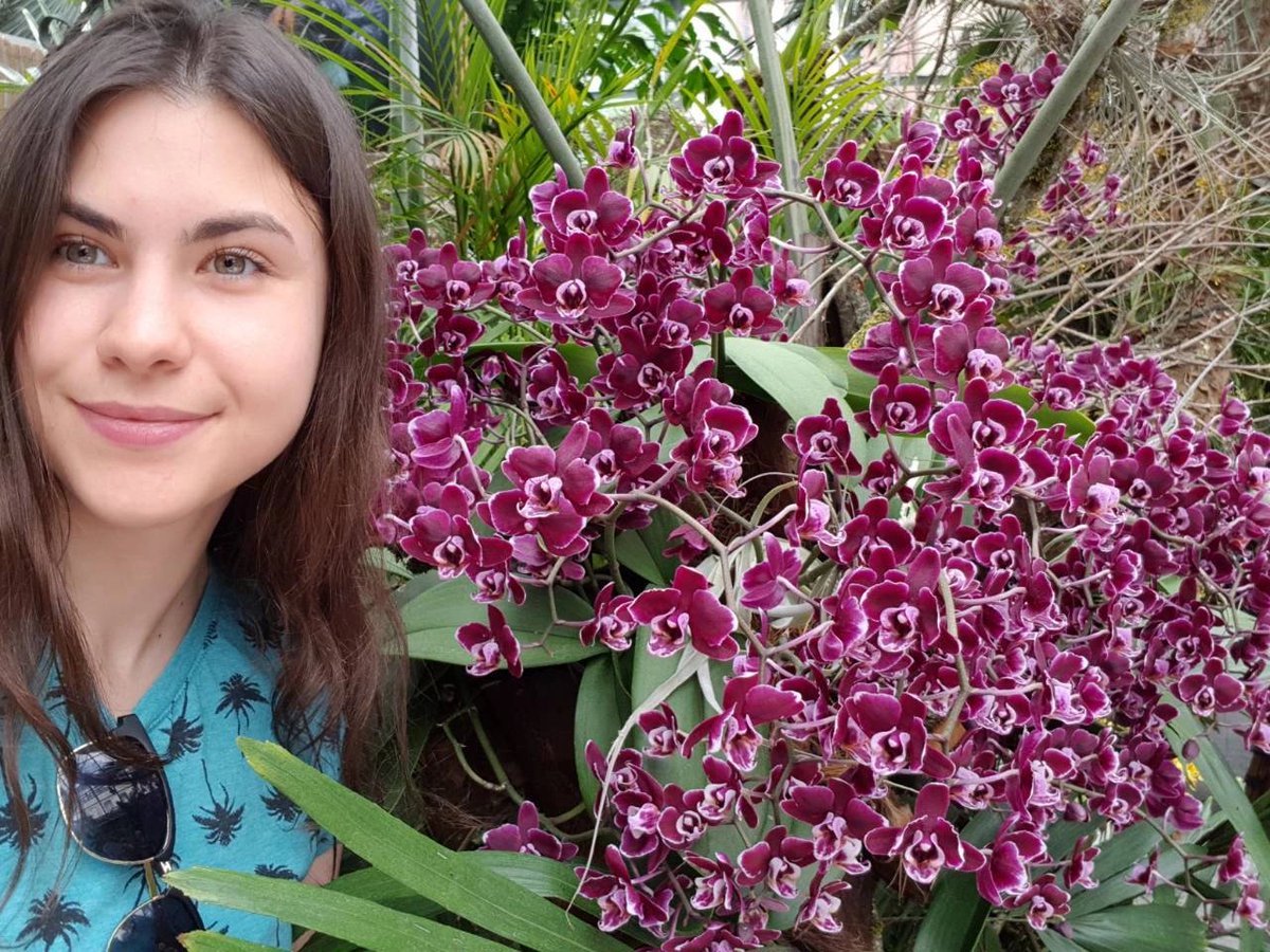 I really love these flowers