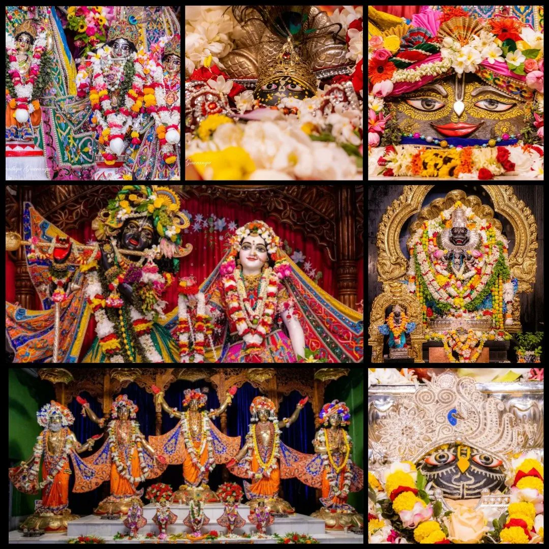 vrajaviharinis's tweet photo. 🤩😍DAILY DARSHAN😍🤩
(Iskcon Vrindavan)
(Iskcon Mayapur)
(Iskcon Pune)
(Iskcon Kolkata)
#lordkrishna #srimatiradharani #panchatatwa #jaijaganathdev #jaisubhadramaharani #jaibalaramdev #dailydarshan #auspicious #beauty #jaigaurnitai #jaigirirajbhagvan #jaisrinrishangadev #Iskcon https://t.co/TE9lFtZrOZ