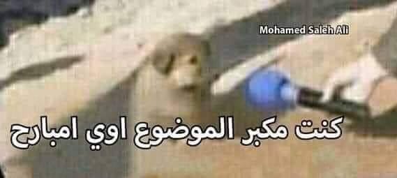 لما أخد كم قرار صعب قبل ما أنام، وأصحى أفطر فطار حلو
دماغي: