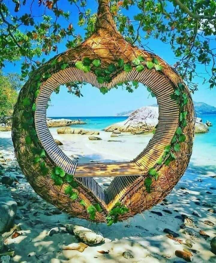 -------

بعض القلوب  دافئة في كل شيء
عتبها..خوفها .. حزنها .. شوقها .. حبها ..
نادراً ما نجد مثلها..

┏━━━━━━━┓
彡[༻♥༺]❥❥彡
┗━━━━━━━┛