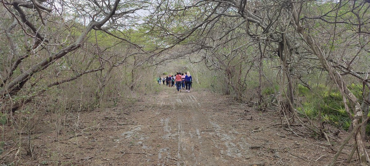 marivaneess's tweet photo. #PressTrip #Paraguana #Montecano #Falcon https://t.co/vn8IIxUVf5