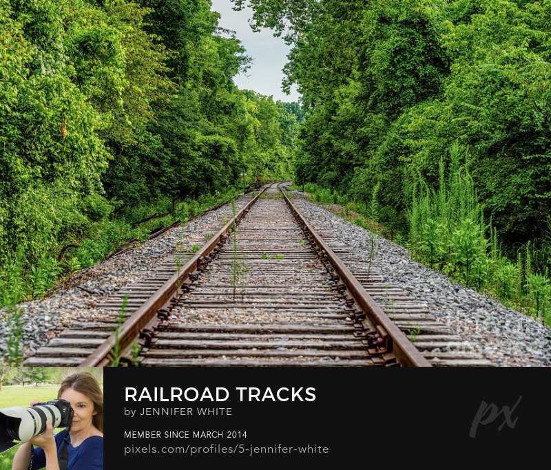TMomPhotography's tweet image. Another photo looking down some abandoned railroad tracks in Springfield Missouri @FineArtAmerica @shoppixels 
5-jennifer-white.pixels.com/featured/railr…

#photography #ozarks #railroadtracks #BuyIntoArt