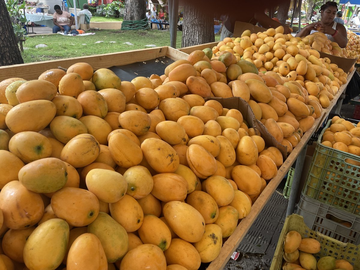 expomango's tweet photo. ¡Mango! ¡Mango! ¡Mango! ¡Mango! ¡Mango! ¡Mango! ¡Mango! ¡Mango!

Estamos en ¡Mango! ¡Mango! ¡Mango! ¡Mango!

Hasta mañana 19 junio en #Bani #capitaldelmango #Mango 
@expomango https://t.co/MjR30a3iVf