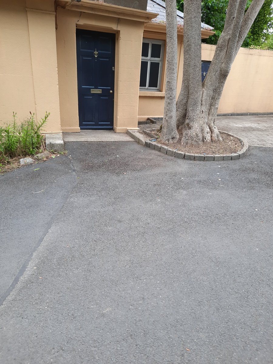 Thanks to all our volunteers working hard to keep Cabinteely looking well. #cabinteelytidytowns #cabinteelypark