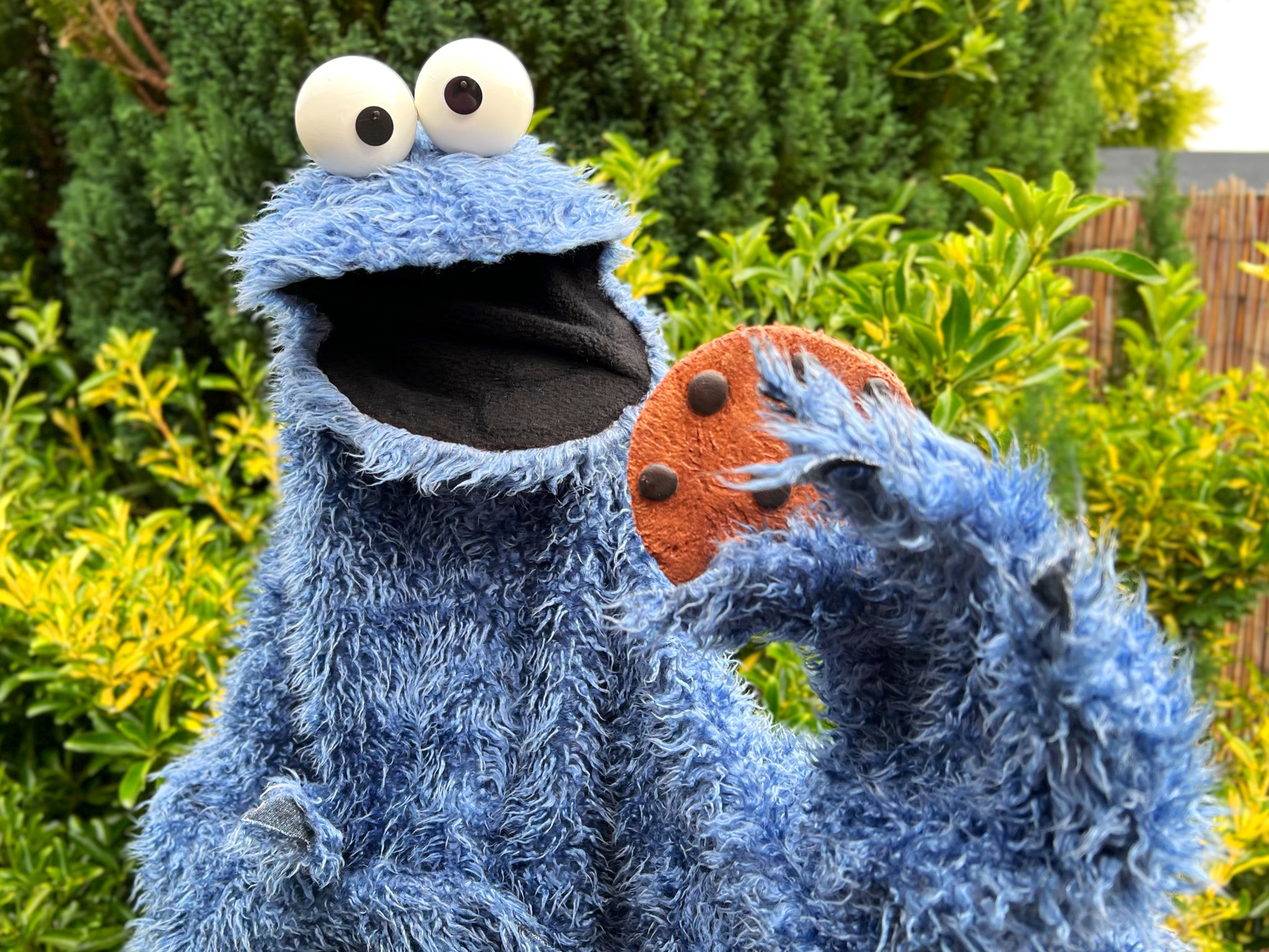 Phil Fletcher on X: Here are some new pics of my Cookie Monster