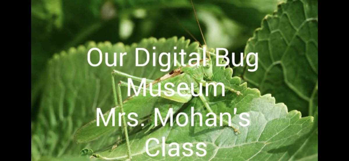 Sam Anthony tweet media