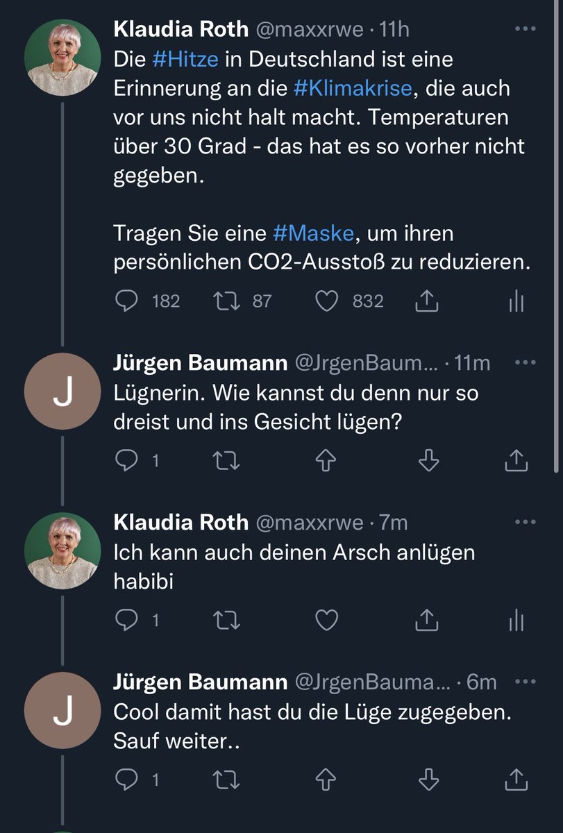 Klaudia Roth tweet media